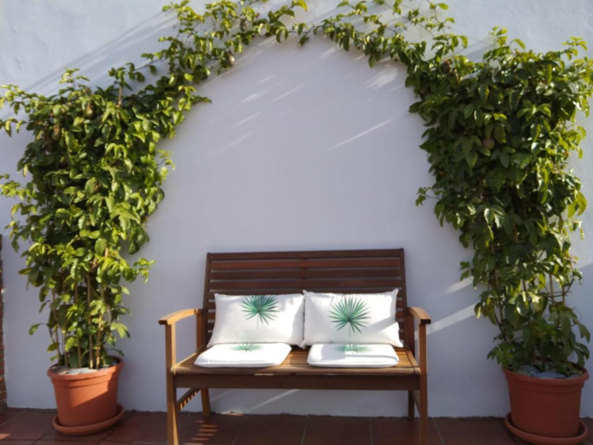 B&B La Granadilla Conchar Ngoại thất bức ảnh